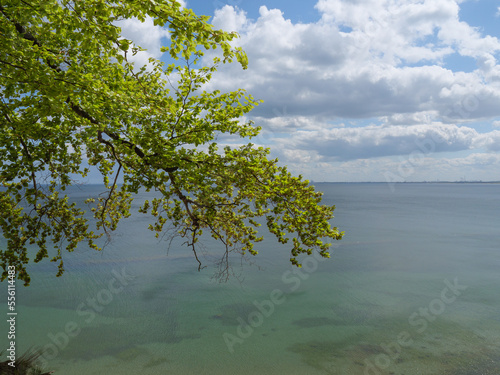 Fototapeta Naklejka Na Ścianę i Meble -  An der Ostsee in Polen