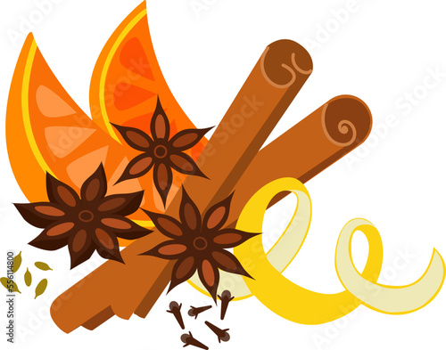 Spices for mulled wine. Vector isolated color illustration.