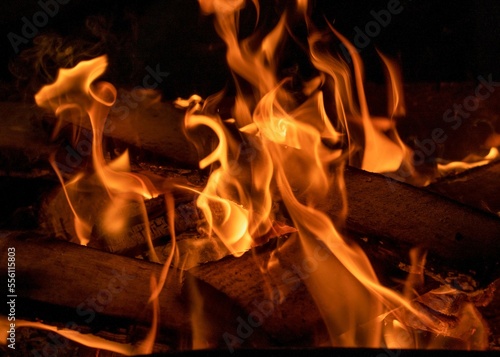 flames from a campfire on a black background