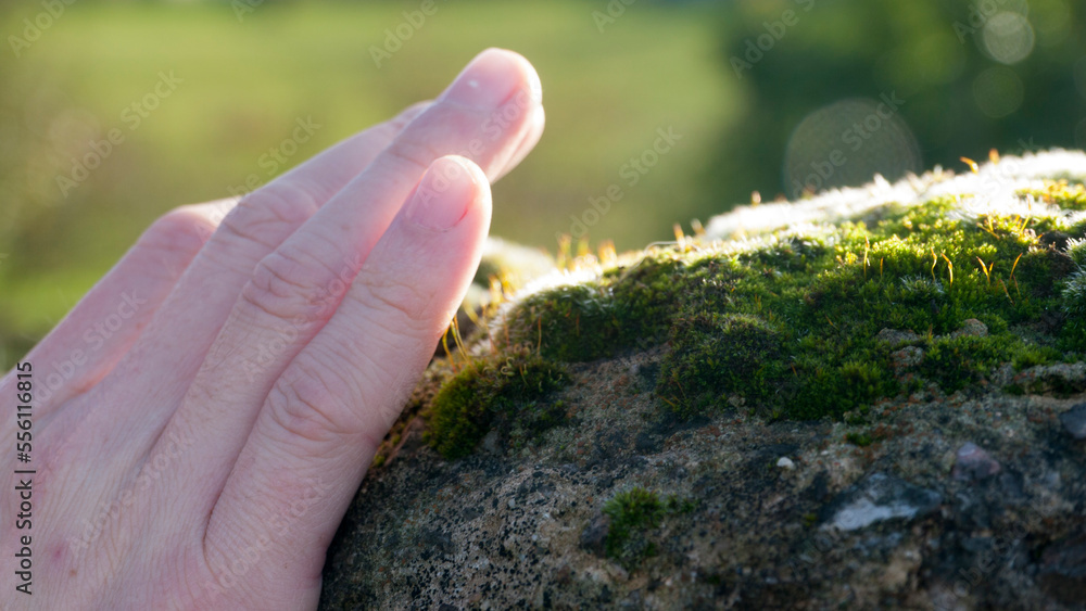 Mano tocando musgo sobre roca Mano tocando musgo sobre roca