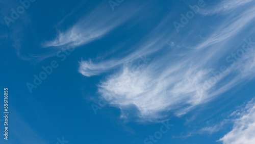 Nubes blancas ligeras arrastradas por el viento sobre cielo azul