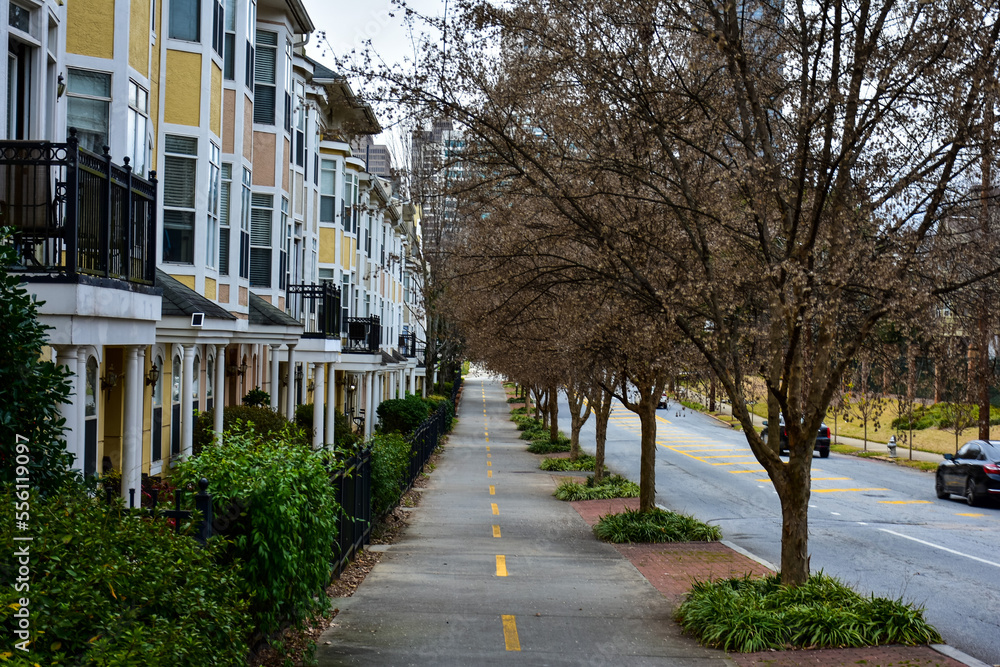 Tree lined street with townhouses in the city Tree lined street with townhouses in the city