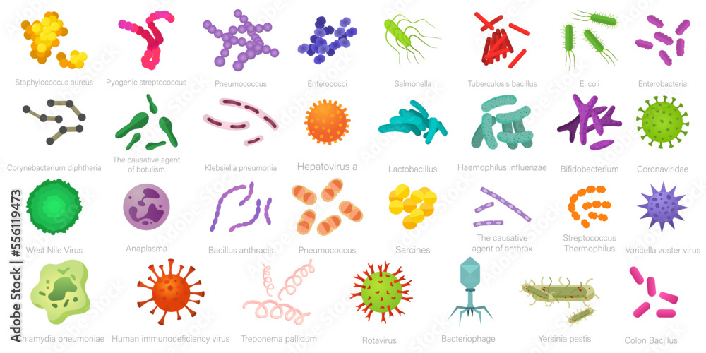 Vector image of various bacteria. Pathogenic bacteria, viruses and microbes. Colored microbes and various types of bacteria. A design element for a website, applications, social networks.