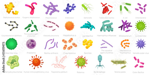 Vector image of various bacteria. Pathogenic bacteria, viruses and microbes. Colored microbes and various types of bacteria. A design element for a website, applications, social networks.