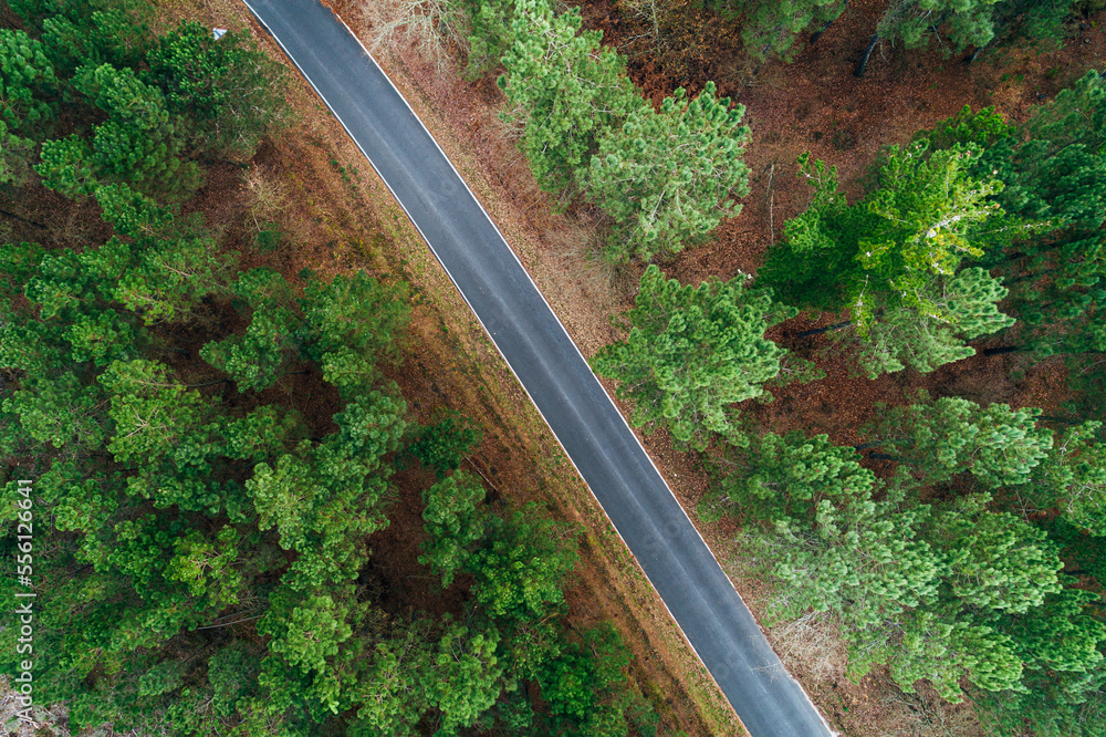 drone aerial view of a road in a pine forest in winter drone aerial view of a road in a pine forest in winter