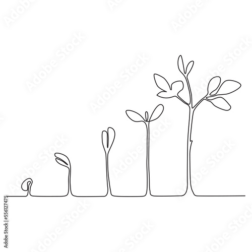 One continuous line drawing Plant growth process. Isolated on white background. Vector illustration.