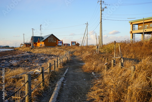 Todowara Walk Path and Frozen Ocean at Notsuke Peninsula in Betsukai, Hokkaido, Japan - 日本 北海道 別海町 野付半島 トドワラ 探勝線歩道 氷海 photo