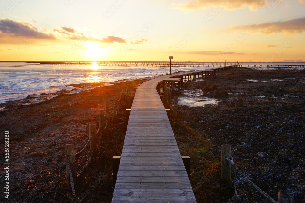 Todowara Walk Path and Frozen Ocean at Notsuke Peninsula in Betsukai, Hokkaido, Japan - 日本 北海道 別海町 野付半島 トドワラ 探勝線歩道 氷海 Todowara Walk Path and Frozen Ocean at Notsuke Peninsula in Betsukai, Hokkaido, Japan - 日本 北海道 別海町 野付半島 トドワラ 探勝線歩道 氷海