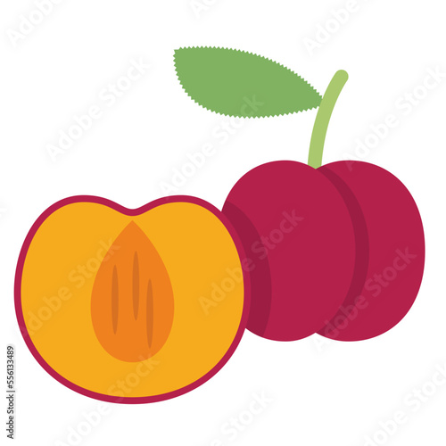 plum flat icon