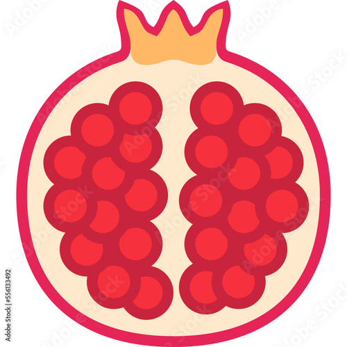 pomegranate flat icon
