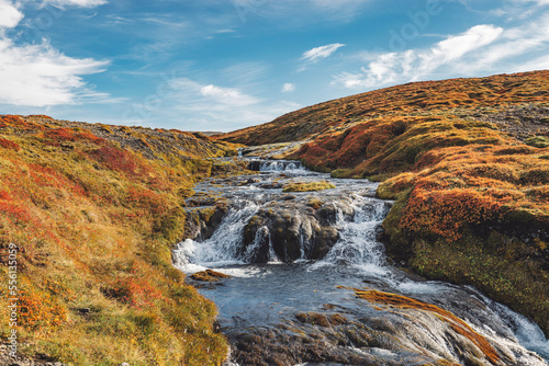 Fototapeta Naklejka Na Ścianę i Meble -  Waterfall in Iceland in beautiful autumn setting 