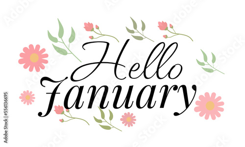 Hello JANUARY.  January vector with flowers, Floral text decoration.  Handwriting.  January illustration