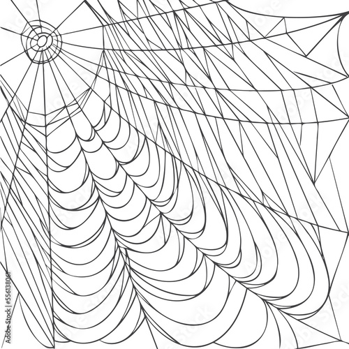 Spider web isolated on white background. Realistic hand drawn line sketch. Halloween spooky cobwebs. Outline black vector illustration.