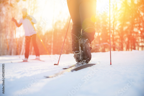 Winter sport on snowy track Cross country skiing, sunset sun light background