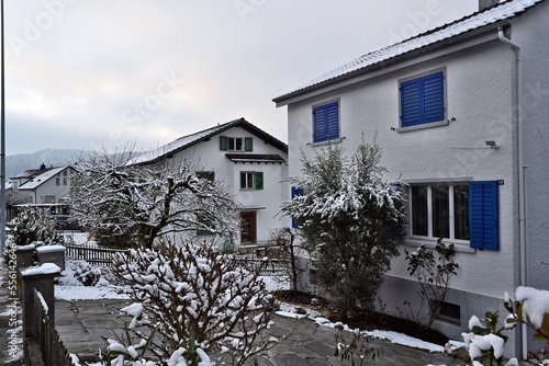 Two family houses and gardens with trees in winter. Everything is covered with a thin layer of snow. A scene from a typical Swiss village.  