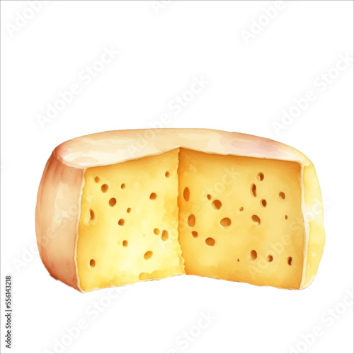 Delicious Cheese Block Isolated Beautiful Watercolor Painting Illustration Vector