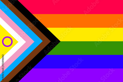 Intersex Inclusive Pride Flag, stripe rainbow colours plus chevrons of black, brown, blue, pink and white and yellow with a purple circle, 