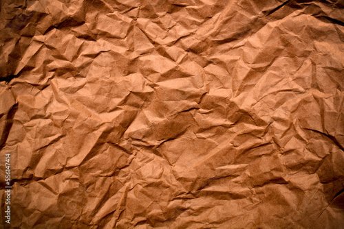 Wallpaper Mural Sheet of crumpled craft paper. Texture, surface, background. Torontodigital.ca