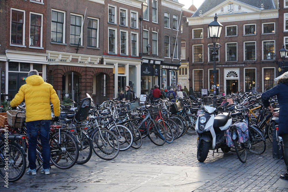 bicycles in Netherlands