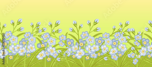 Seamless border with flowers forget me not.