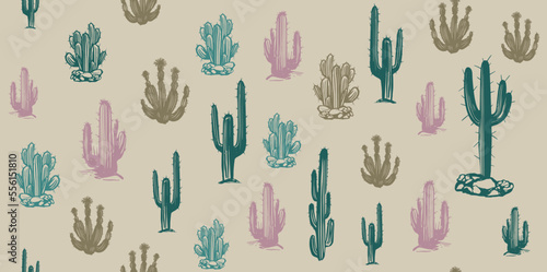 Cactus set hand drawn illustrations  vector