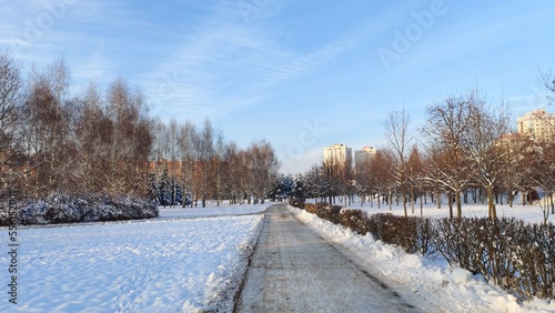 There is snow on the lawns and trees in the city park after the snowfall. Pedestrian paths have been cleaned. Behind the trees are the apartment buildings of the city block The weather is sunny © Balser