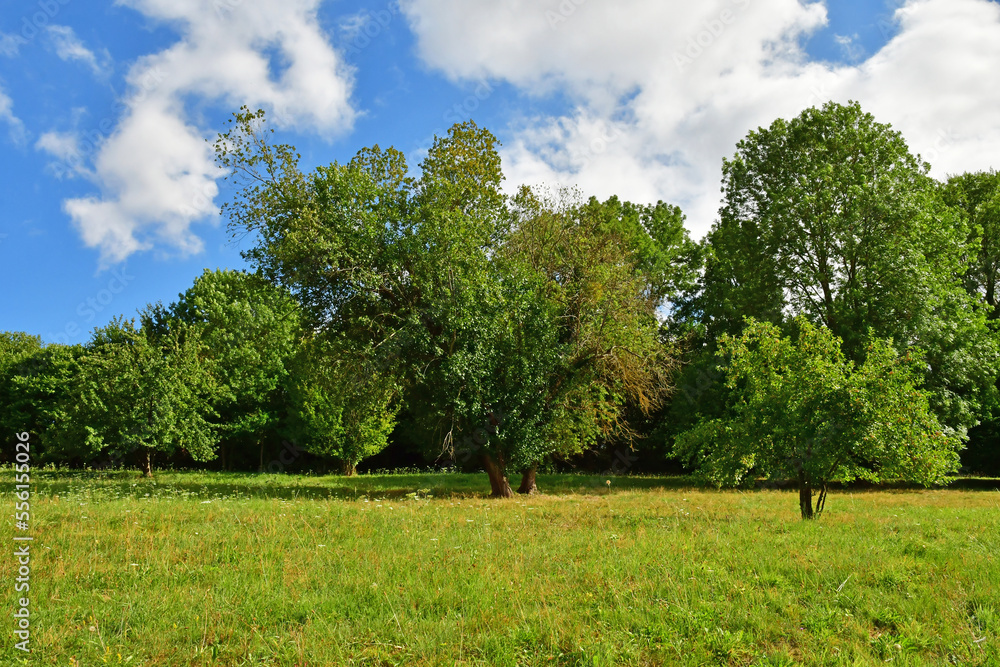 Amfreville sur Iton, France - august 8 2022 : the countryside