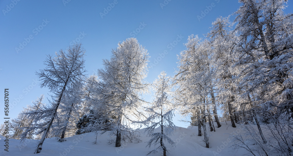 winter mountain landscape peaks and trees snow covered winter mountain landscape peaks and trees snow covered