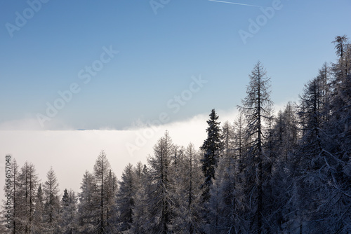 Fototapeta Naklejka Na Ścianę i Meble -  winter mountain landscape peaks and trees snow covered