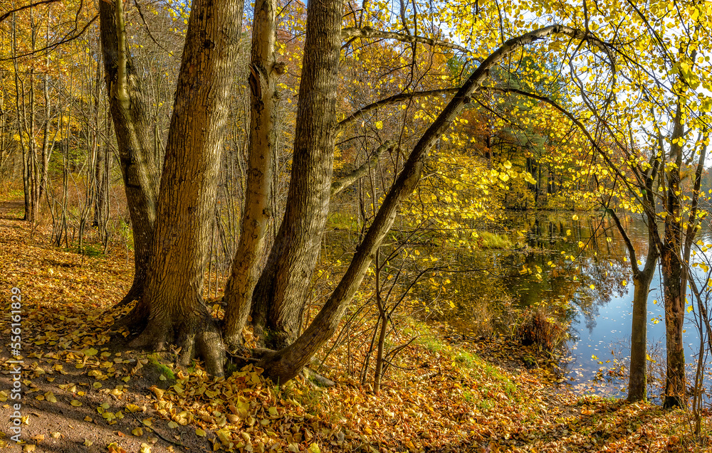 Autumn landscape in the historical park Autumn landscape in the historical park