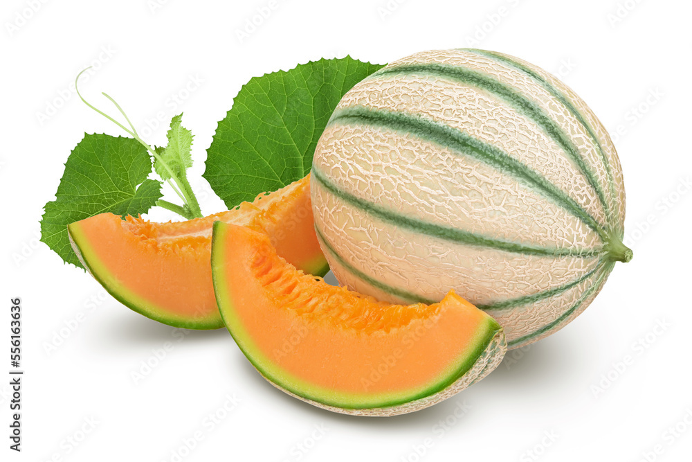 Cantaloupe melon isolated on white background with full depth of field