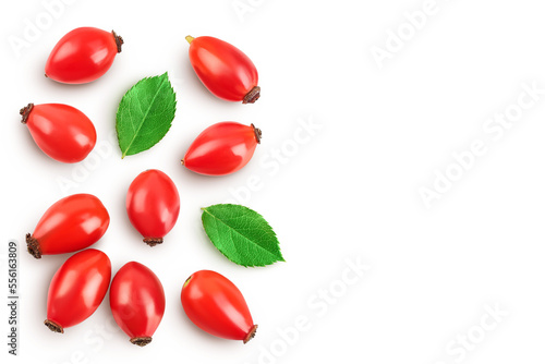 Принти на полотні Rose hip isolated on a white background with full depth of field