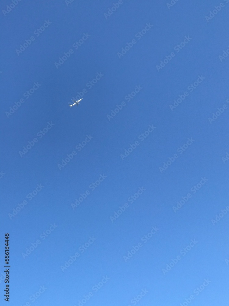 airplane in the sky airplane in the sky