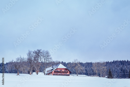 house in the snow