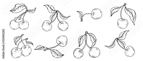 Fotografering Linear botanical sketch of cherry berries with leaves