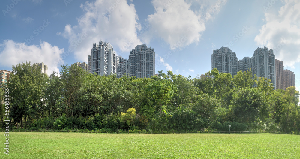 Obraz premium Apartments located behind a public park.