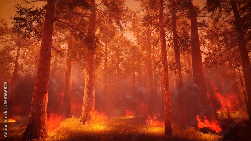 burning forest background 3d rendering