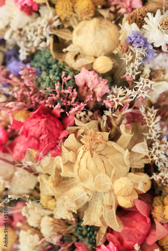 Floral background with various dry flowers.