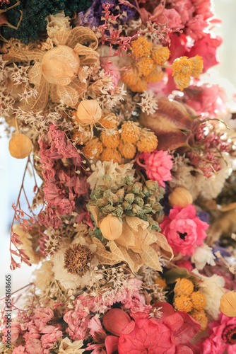 Floral background with various dry flowers. photo