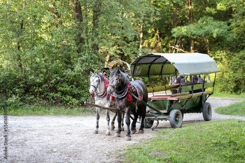 ZAKOPANE, POLAND - JULY 30, 2022: Horse-drawn carriage in Zakopane, Poland.