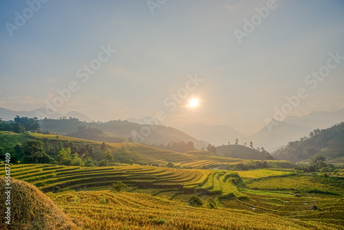 Sunset on terraced fields in Lao Cai, Vietnam. High quality photo 