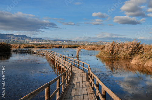 bridge across the lake. a special place for bird watching