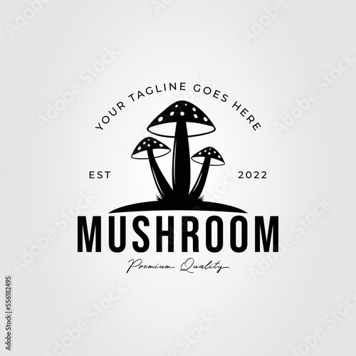 magic mushroom or silhouette fungi logo vector illustration design