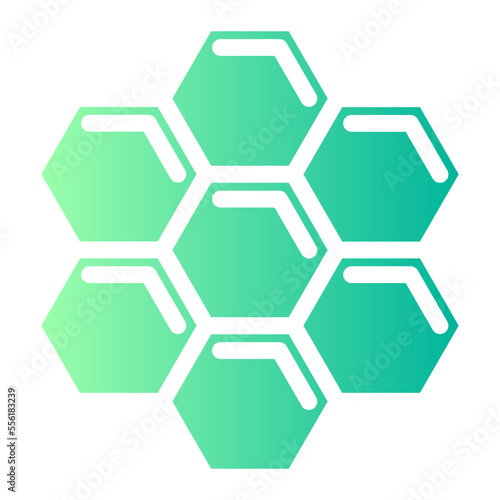 hive