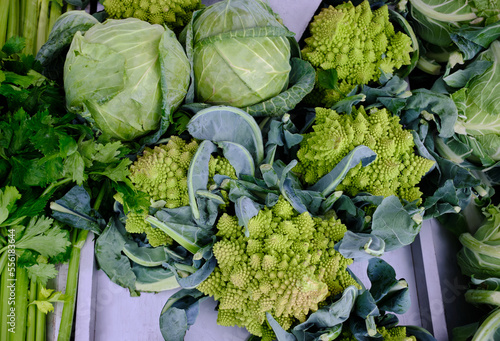 А varieties of cabbage
Brassica oleracea 'Romanesco' and Brassica oleracea var. capitata photo