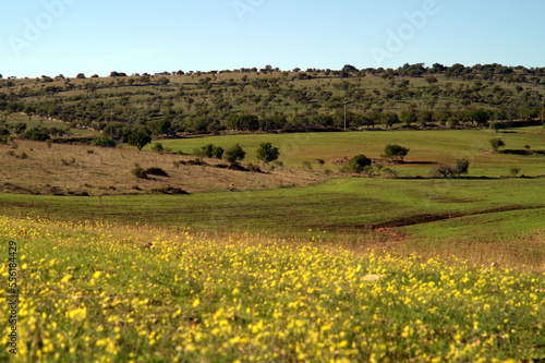 Le Murge pugliesi, veduta territoriale delle campagne del sud Italia