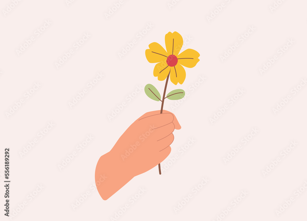 A Person’s Hand Holding A Yellow Flower. Close-Up. Flat Design Style, Character, Cartoon. A Person’s Hand Holding A Yellow Flower. Close-Up. Flat Design Style, Character, Cartoon.