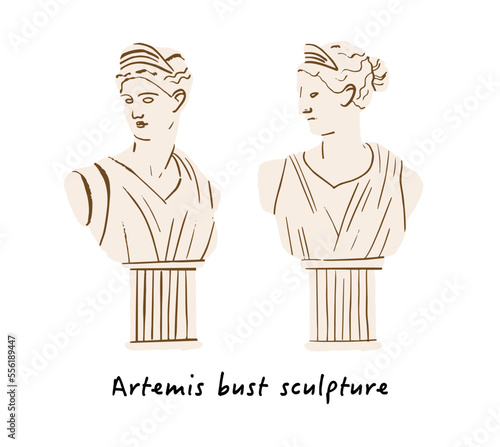 Ancient greek sculpture. Mythology Artemis statue hand drawn, old goddess bust. Ancient Roman mythological person. Marble bust. Vector illustration. Vector art for design of posters, clothes, logo.