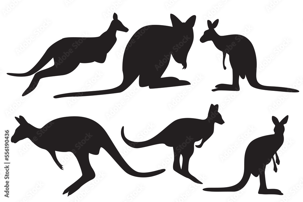 Kangaroo animal vector. mammals that have chat characteristics in the form of a pouch (marsupials). These animals include typical Australian animals
