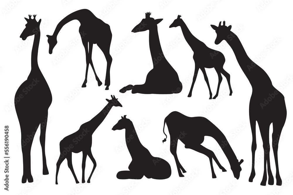 Naklejka premium Giraffe vector silhouette. Long neck animal. Wild animals in the safari park
